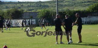 Floroiu încă speră la susținerea acționarilor