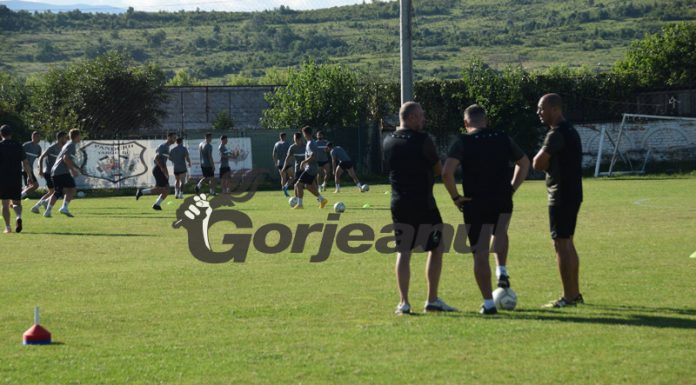 Floroiu încă speră la susținerea acționarilor