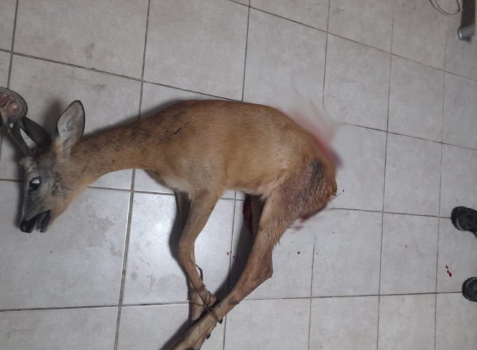 214142281_5815983925140394_7742374615918595861_n