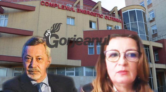 Noul model organizațional la CEO: posturi de directori pentru oamenii cu ștaif din proximitatea LDP