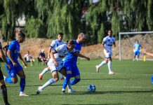 Leii au mușcat din panduri