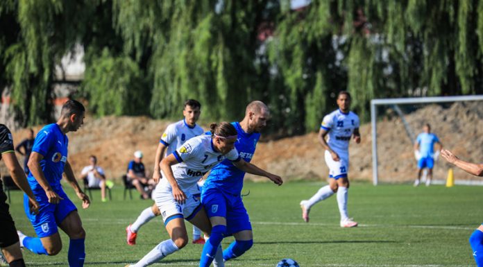 Leii au mușcat din panduri