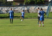 Trei mici panduri, convocați la națională