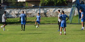 Trei mici panduri, convocați la națională