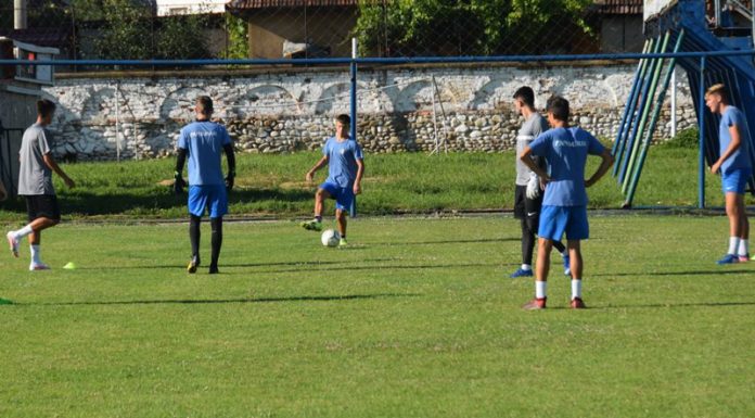 Trei mici panduri, convocați la națională