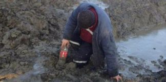 În atenția minerilor și energeticienilor! Legea privind condițiile speciale de muncă nu se aplică retroactiv