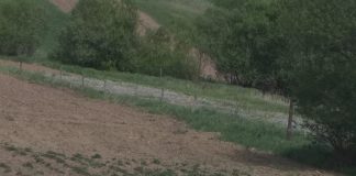 Un picher din Slivilești și-a înjunghiat mama și și-a agresat nepotul minor! A fost trimis în judecată, în stare de libertate, după patru ani