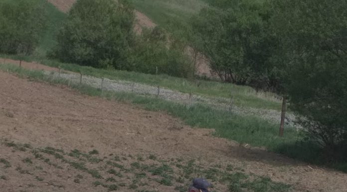 Un picher din Slivilești și-a înjunghiat mama și și-a agresat nepotul minor! A fost trimis în judecată, în stare de libertate, după patru ani