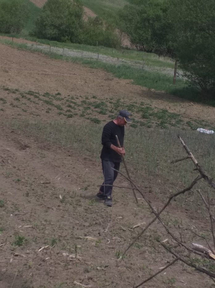 223789064_1008658879904188_7768156201772636921_n