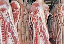 Abator cu activitatea suspendată pe o lună de zile și 10 amenzi, aplicate de inspectorii sanitari-veterinari gorjeni