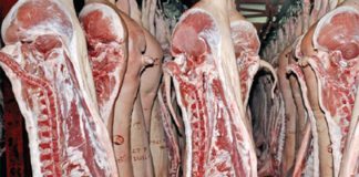 Abator cu activitatea suspendată pe o lună de zile și 10 amenzi, aplicate de inspectorii sanitari-veterinari gorjeni