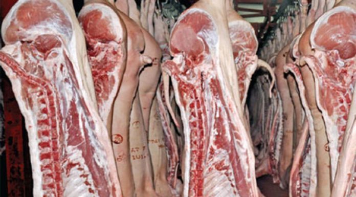 Abator cu activitatea suspendată pe o lună de zile și 10 amenzi, aplicate de inspectorii sanitari-veterinari gorjeni