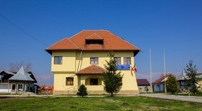 Post de inspector debutant, scos la concurs de Primăria Drăguțești