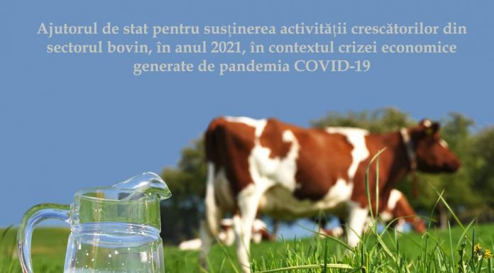 APIA: Peste 2.700 de cereri primite pentru ajutorul crescătorilor din sectorul bovin