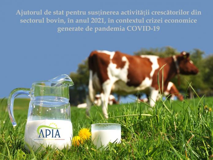 FB_IMG_1625641268851