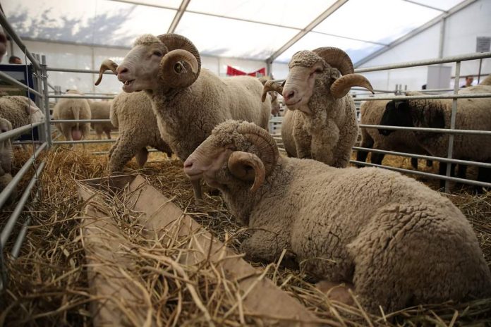 FB_IMG_1625728588260