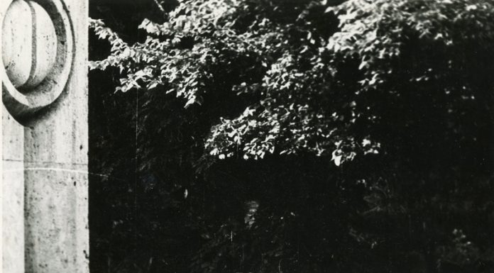 Variante brâncușiene de amplasare a scaunelor de piatră în cadrul Ansamblului Sculptural „Calea Eroilor”