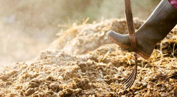 Agricultura pe înțelesul tuturor – Gunoiul de grajd – o comoară a fermierilor