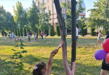 Motru are de astăzi propria sa pădure colorată