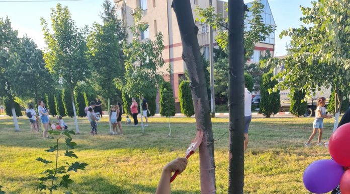 Motru are de astăzi propria sa pădure colorată