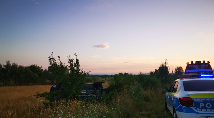 Accident cu victime spre Peștișani