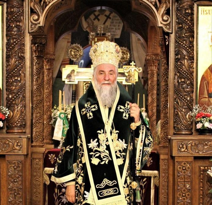 IPS Mitropolit Irineu