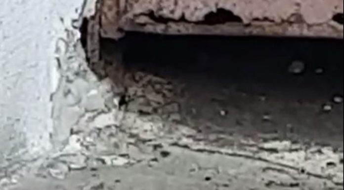 VIDEO: Șobolani mutanți, la blocurile din spatele Hotelului Gorj! Locatarii cer deratizare urgentă