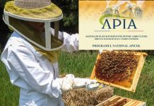 APIA: 31 iulie 2021- termen depunere cereri de plată pentru măsurile PNA 2021