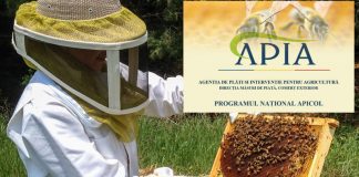 APIA: 31 iulie 2021- termen depunere cereri de plată pentru măsurile PNA 2021