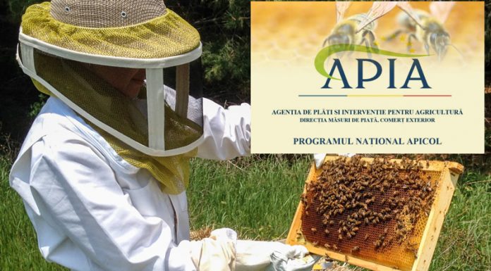 APIA: 31 iulie 2021- termen depunere cereri de plată pentru măsurile PNA 2021