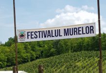 Festivalul Murelor, ediția a doua, debutează în august, la Roșia de Amaradia