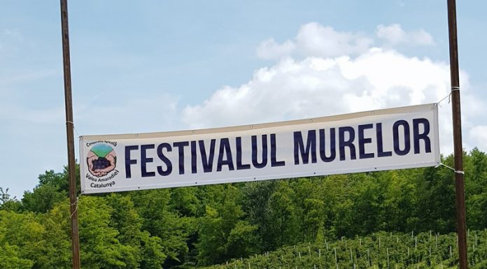 Festivalul Murelor, ediția a doua, debutează în august, la Roșia de Amaradia
