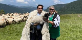 Ambasadorul Pakistanului, la stâna de pe Transalpina