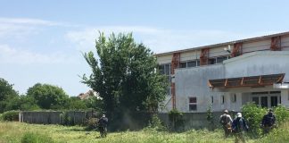 Poliția Locală: Amenzi pentru târgujienii care nu distrug ambrozia