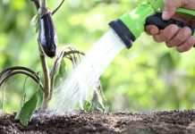 Fără restricții la apă în comuna Roșia de Amaradia