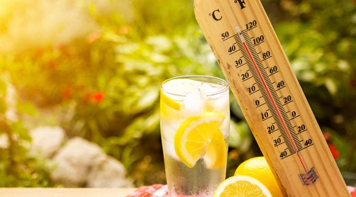 Cod portocaliu de caniculă