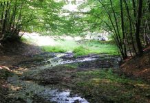 ATITUDINI estivale – În umbra Pietrei Cloşanilor