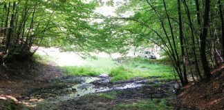 ATITUDINI estivale – În umbra Pietrei Cloşanilor