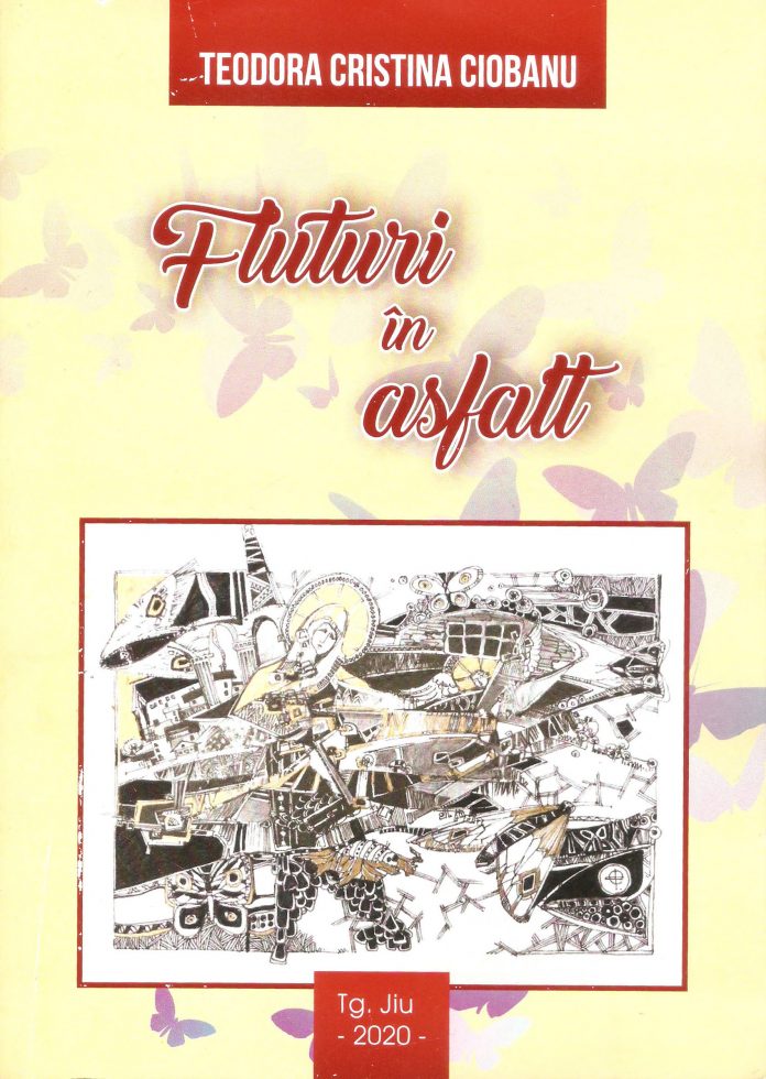 coperta Fluturi in asfalt