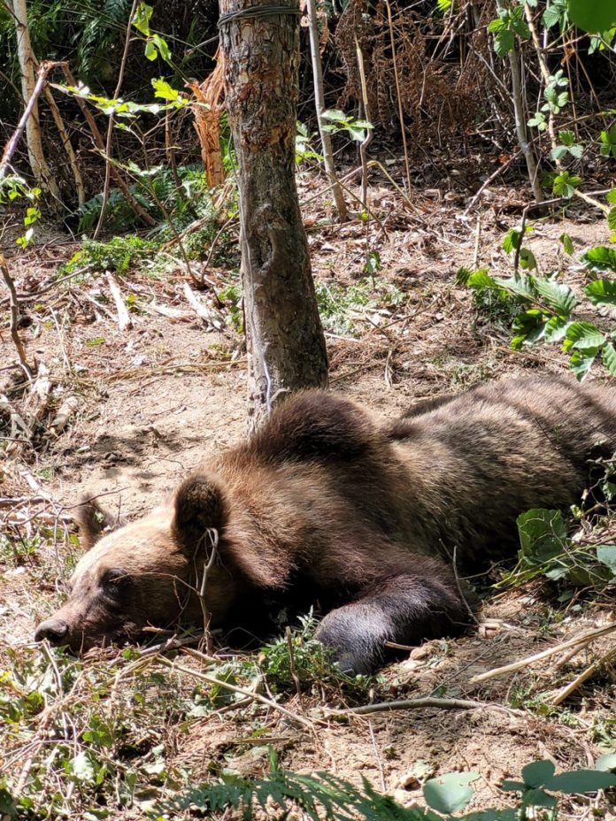 e8bb3840-1c48-47dd-a876-553e714c8f82