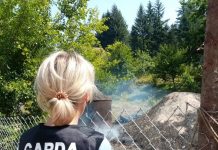 Amenzi împărțite la Baia de Fier