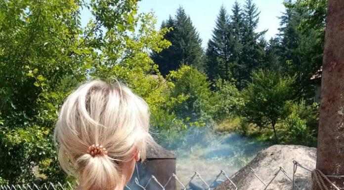 Gorjul, în topul județelor cu cele mai multe amenzi aplicate de Garda de Mediu