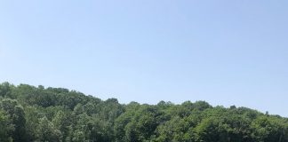 Lac acoperit cu steril. Amendă de 30.000 de lei