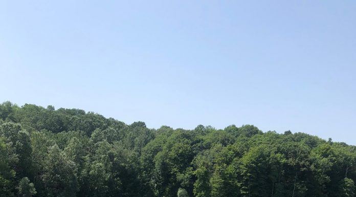 Lac acoperit cu steril. Amendă de 30.000 de lei