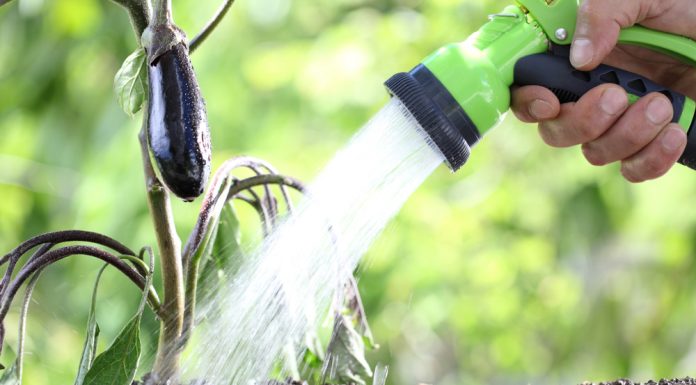 Fără restricții la apă în comuna Roșia de Amaradia