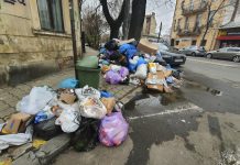 Stare de alertă în Sectorul 1 al Capitalei!