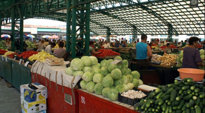 MADR continuă monitorizarea comerțului cu legume și fructe și sancționarea abaterilor