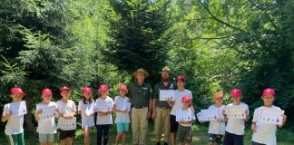 Micii cercetași, în drumeție prin Defileul Jiului