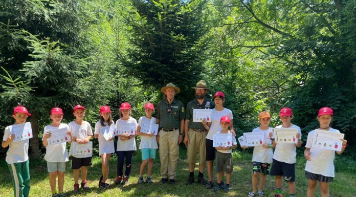 Micii cercetași, în drumeție prin Defileul Jiului