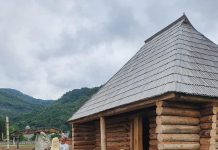 Tabăra de sculptură în lemn de la Polovragi, la final